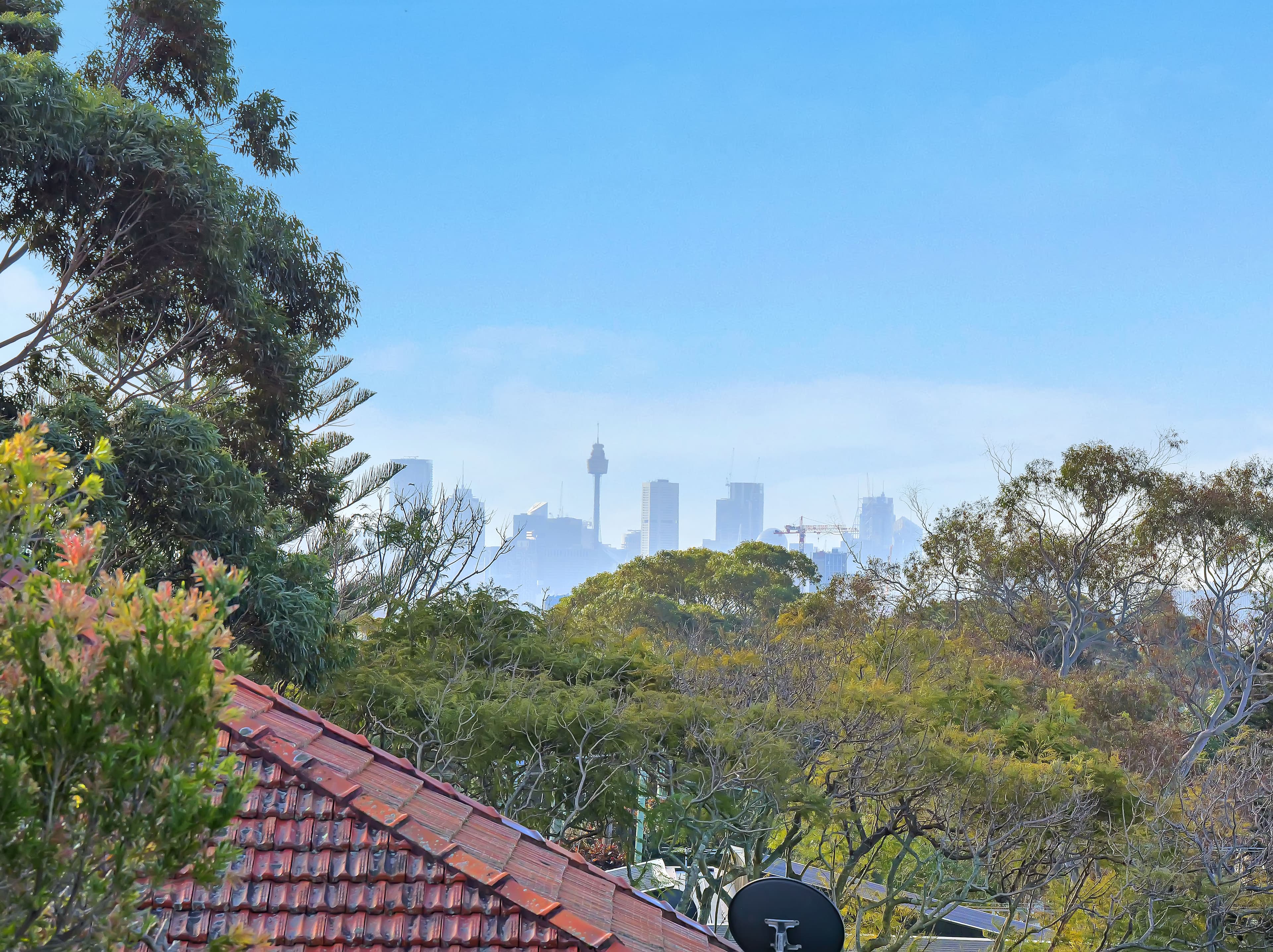 33A Howell Av - Image 12